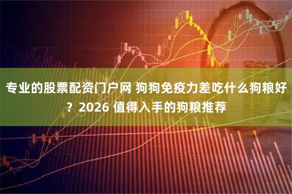 专业的股票配资门户网 狗狗免疫力差吃什么狗粮好？2026 值得入手的狗粮推荐